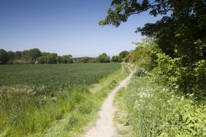 Hethersett, Norfolk  8.jpg